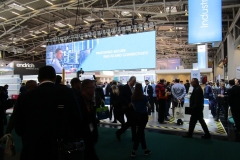 IMG_1936-Large