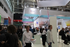 IMG_1955-Large