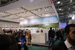 IMG_1972-Large